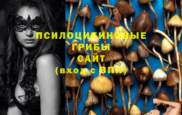 бутират Нягань