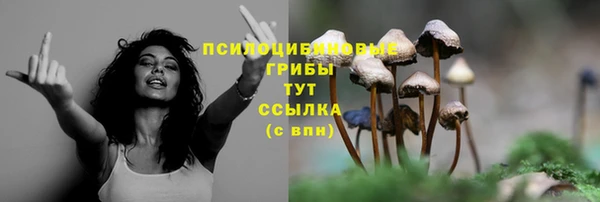 метамфетамин Новодвинск