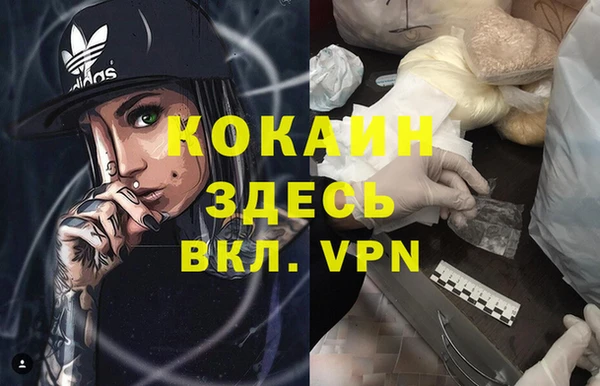мяу мяу кристалл Няндома
