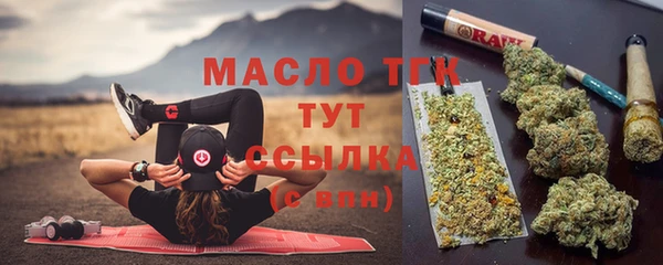 мяу мяу кристалл Няндома