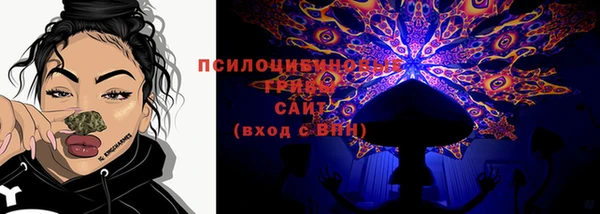 мяу мяу кристалл Няндома