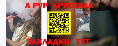 spice Гай