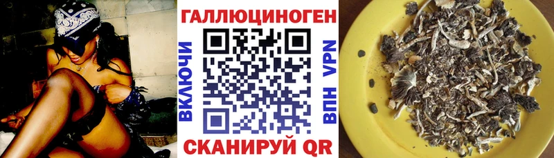 Псилоцибиновые грибы Psilocybe  купить   Кулебаки 