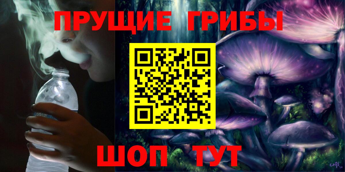 Кулебаки  Галлюциногенные грибы Cubensis  Вход с VPN 