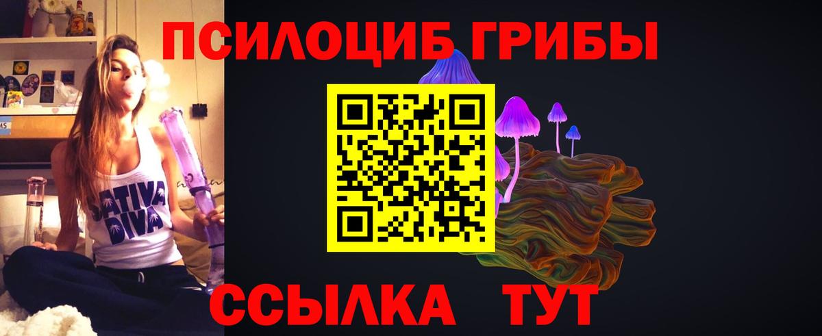 Псилоцибиновые грибы Cubensis Кулебаки